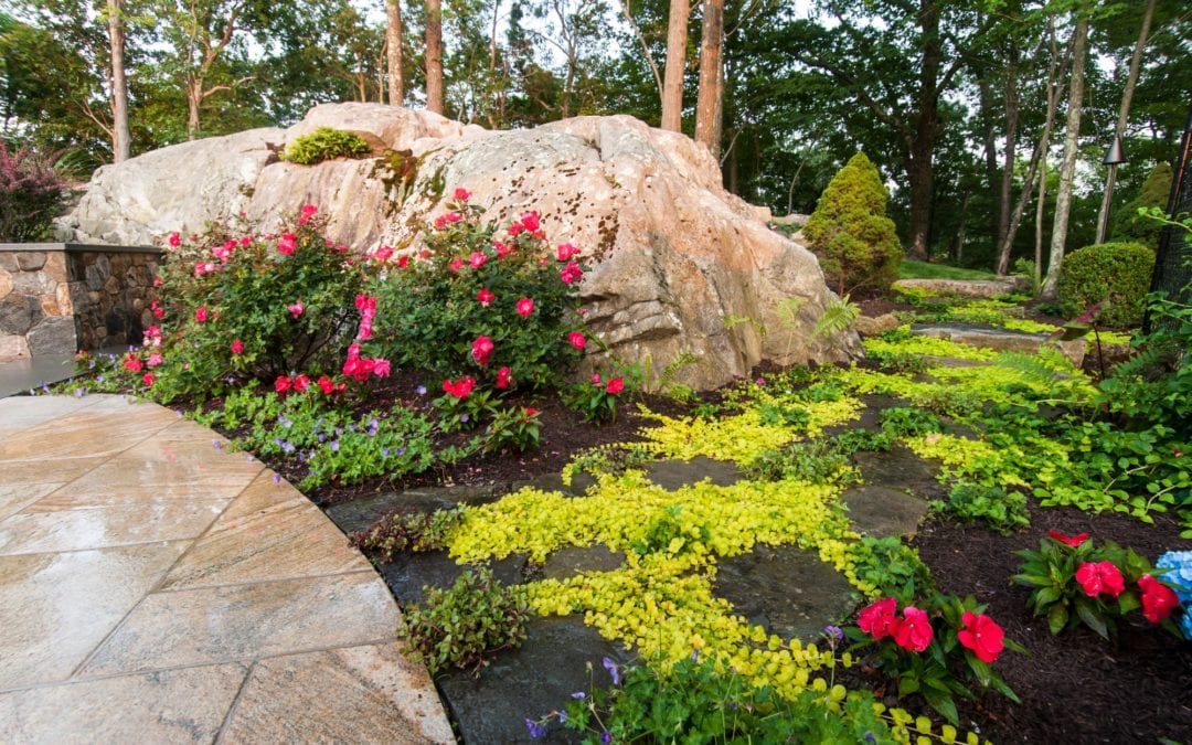Landscapes and Gardens