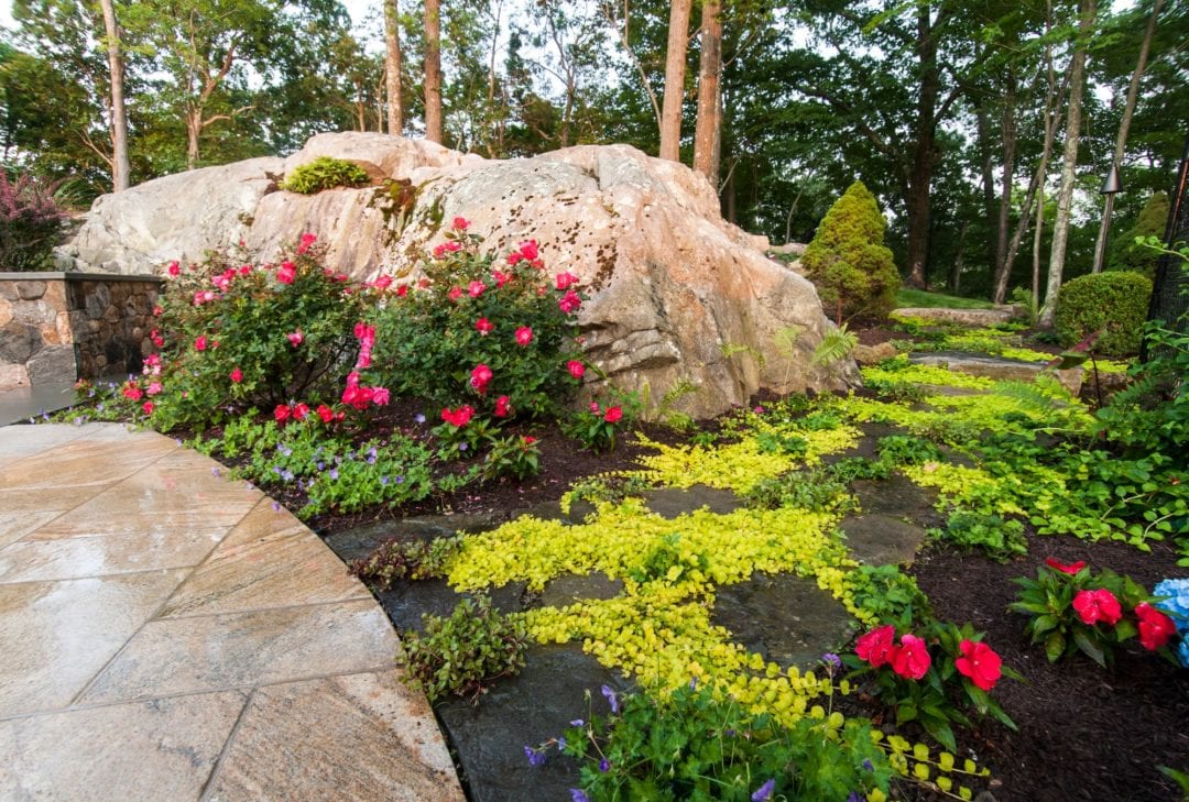 Landscapes and Gardens