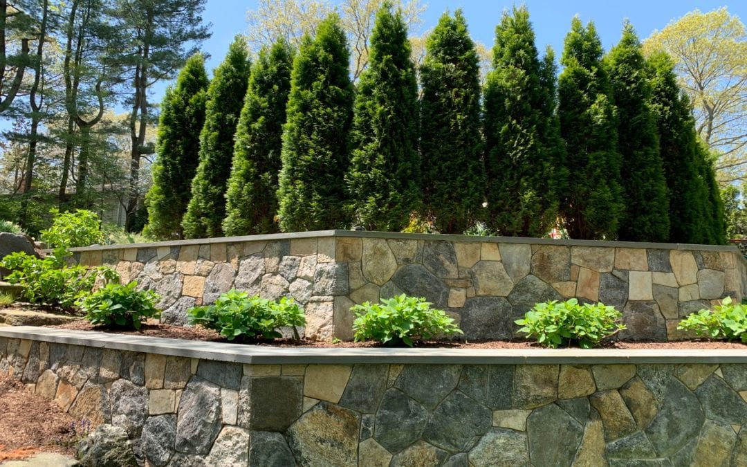 Stone Walls
