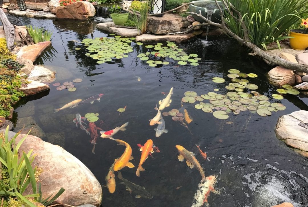 Ponds